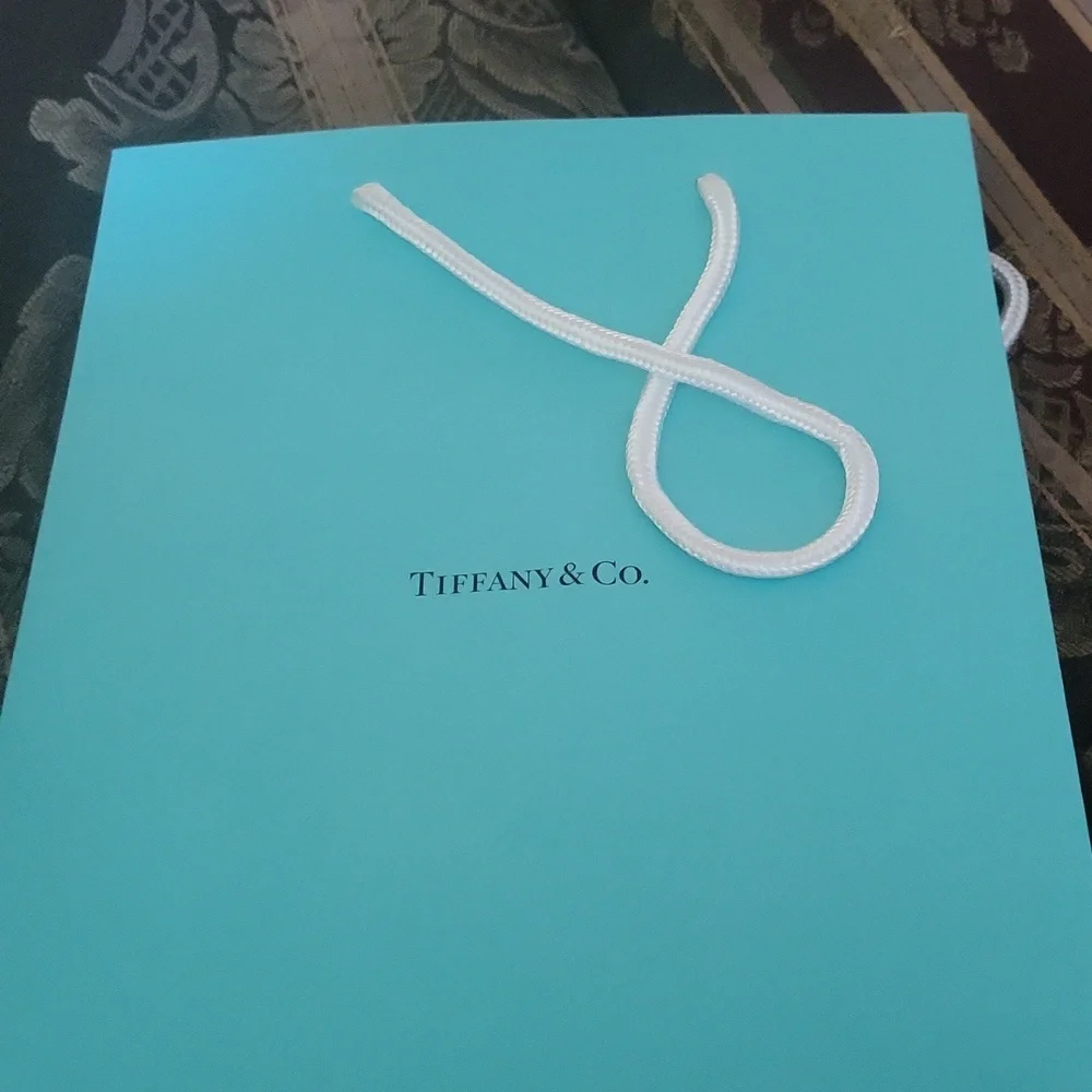 Tiffany absolutely gorgeous sunglasses  New  pair new case bag Beautiful